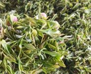 臨沂特產(chǎn)送人必買(mǎi)清單？