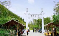 5月12日：徒步貢茶古道，天然氧吧，綠色之旅